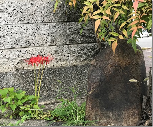 IMG_0762-1 IMG_0762-1