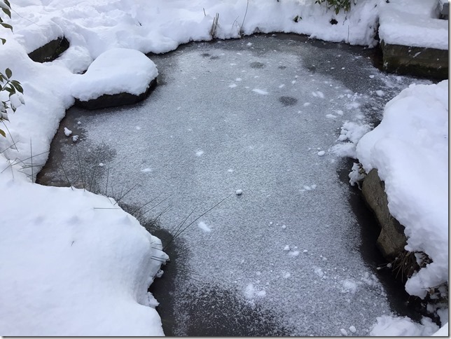 90C617A5-96F5-45AD-88C6-55DD768AAEAD