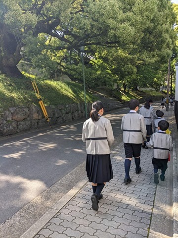 PXL_20230509_234934395.MP_20230510105403