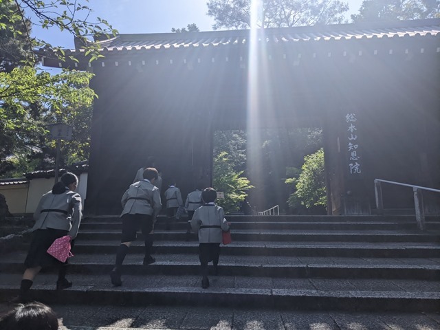 PXL_20230509_235149846.MP_20230510105138