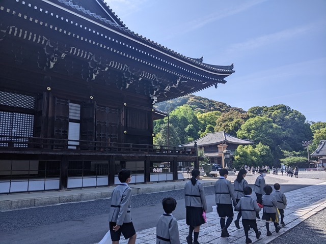 PXL_20230509_235557151_20230510105048