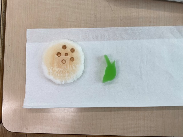 20230119 2年 20230119 2年