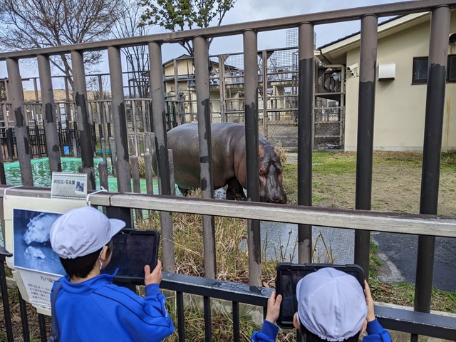 PXL_20240227_005213666.MP