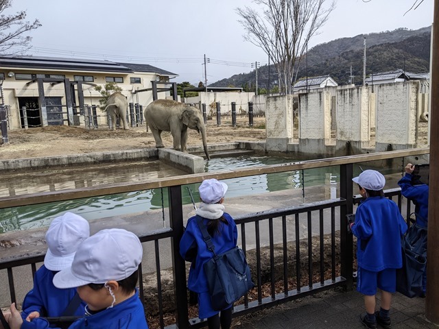 PXL_20240227_010307538