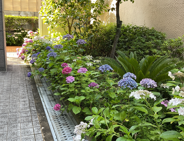 スクリーンショット 2024-06-19 16.18.39.jpeg