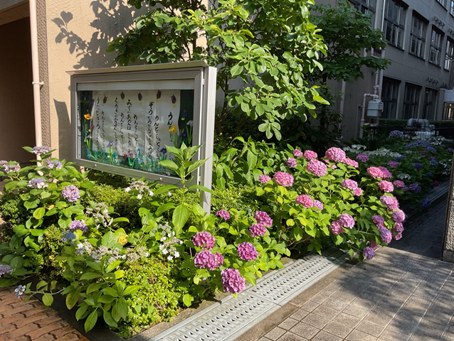 スクリーンショット 2024-06-19 16.29.26.jpeg