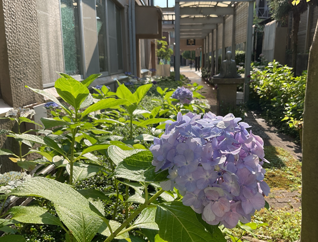 スクリーンショット 2024-06-19 16.17.43.jpeg