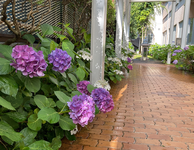 スクリーンショット 2024-06-19 16.20.59.jpeg