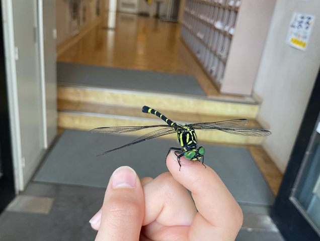 スクリーンショット 2024-07-08 13.45.34.jpeg