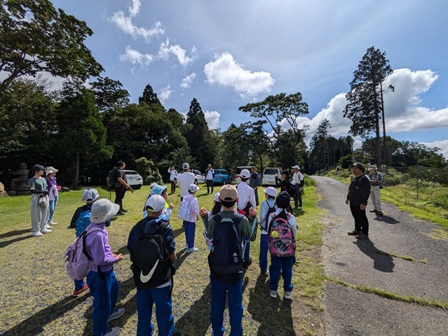 PXL_20240727_002144071 PXL_20240727_002144071