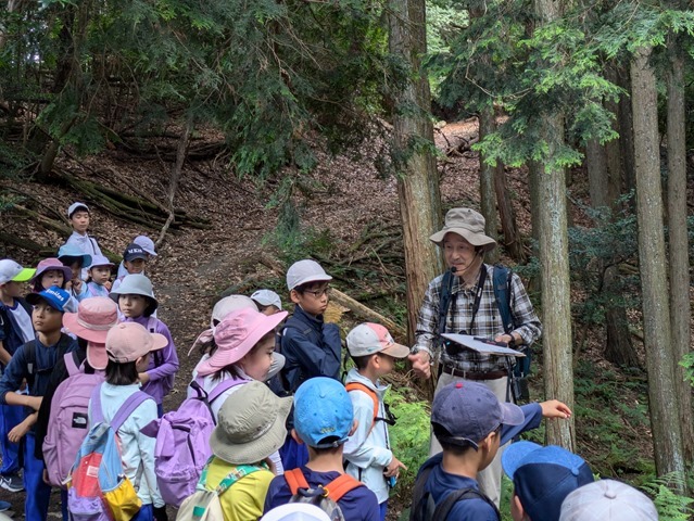 PXL_20240727_003340655 PXL_20240727_003340655