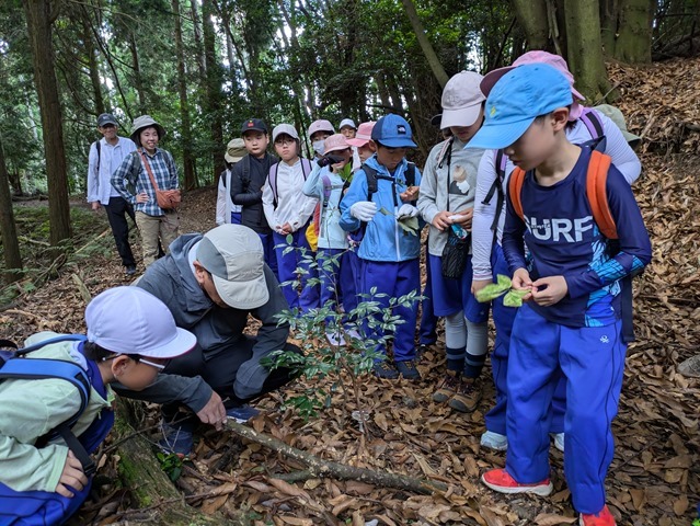 PXL_20240727_004550582 PXL_20240727_004550582