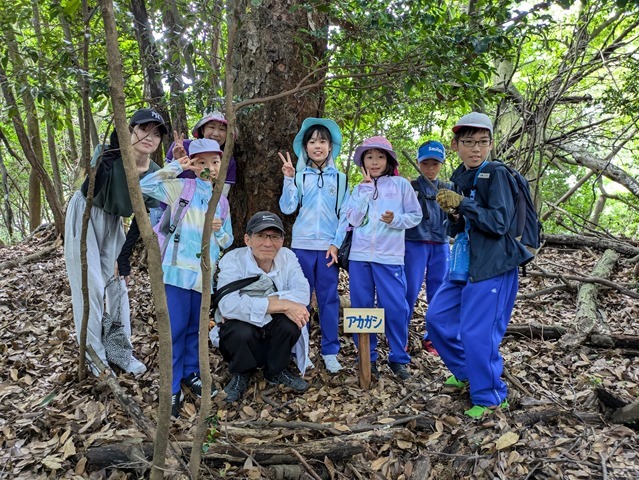 PXL_20240727_013304258 PXL_20240727_013304258