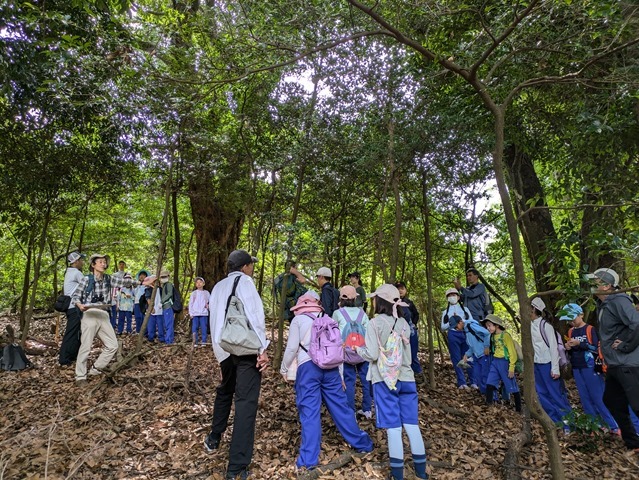 PXL_20240727_013732508 PXL_20240727_013732508