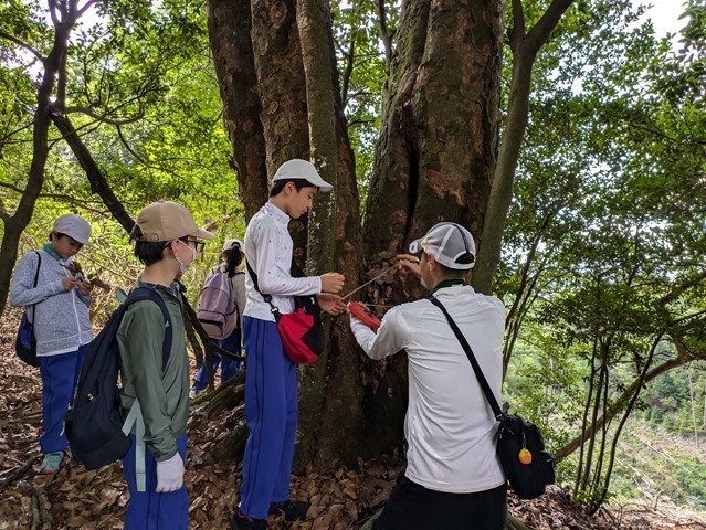 PXL_20240727_014023058 PXL_20240727_014023058