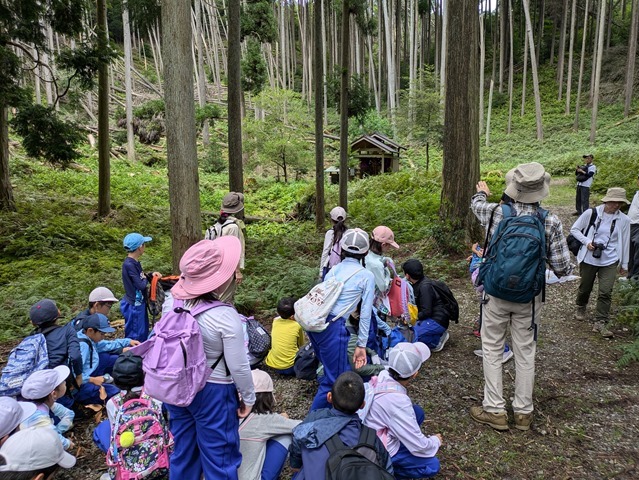 PXL_20240727_015624274 PXL_20240727_015624274