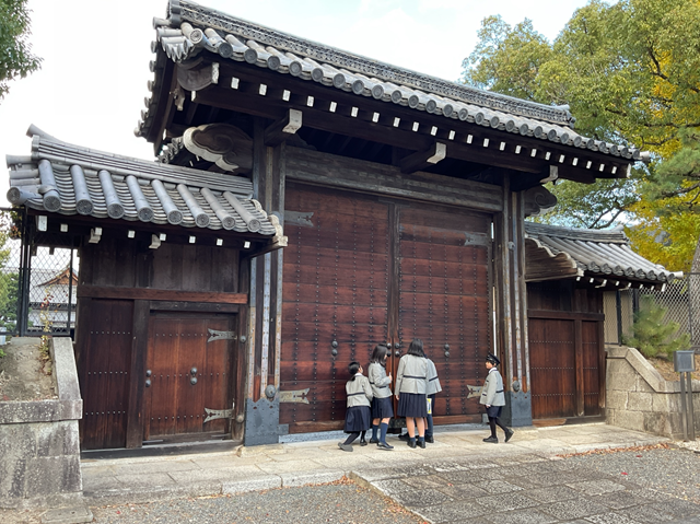 スクリーンショット 2024-11-29 16.51.43.jpeg スクリーンショット 2024-11-29 16.51.43.jpeg