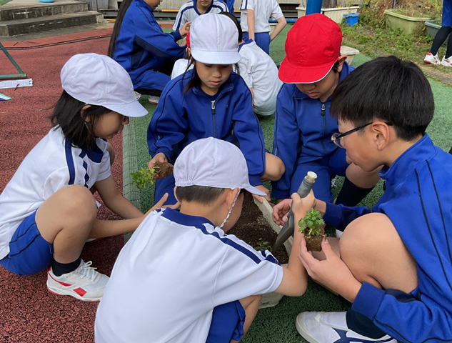 スクリーンショット 2024-11-18 18.02.40.jpeg