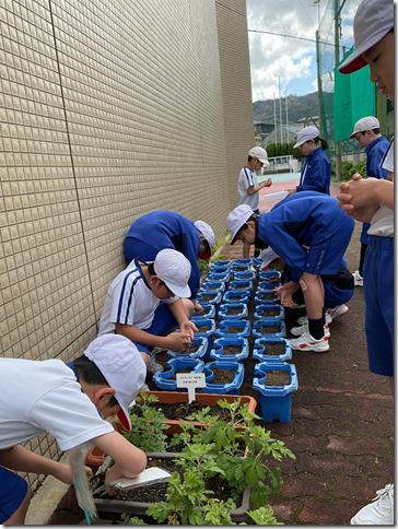 5年21cl組_特別活動_長谷川　幸恵_根っこマラソンカード (4)